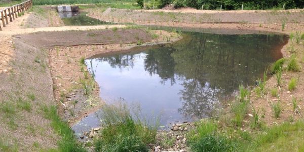 Impianto di fitodepurazione nel comune di Castelnuovo Bozzente Impianto di fitodepurazione nel comune di Castelnuovo Bozzente