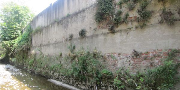 Recinzione in sponda sinistra oggetto di consolidamento a Cusano M.no Recinzione in sponda sinistra oggetto di consolidamento a Cusano M.no