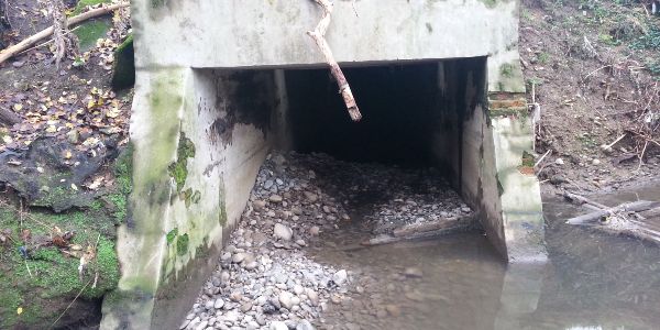 Manufatto di scarico in comune di Cormano Manufatto di scarico in comune di Cormano