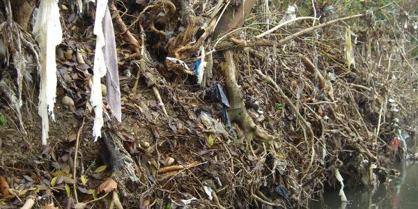 Sponda interessata da erosione, oggetto di consolidamento Sponda interessata da erosione, oggetto di consolidamento