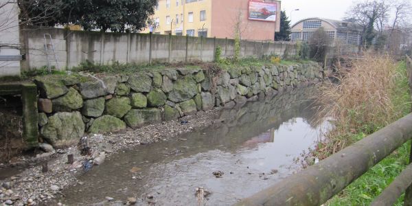 Il Seveso, in un tratto con sponda in massi e sponda naturale Il Seveso, in un tratto con sponda in massi e sponda naturale