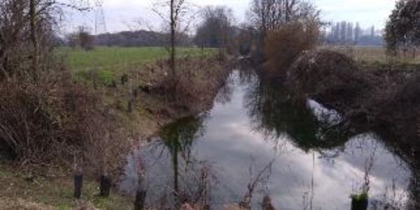Il fiume Seveso Il fiume Seveso