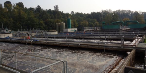 Le vasche di sedimentazione dell'impianto Le vasche di sedimentazione dell'impianto