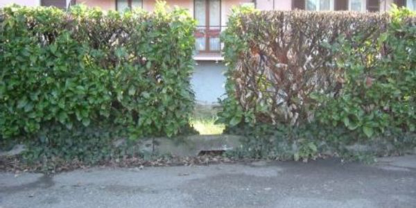 Parcheggio Parcheggio