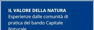 PRESENTAZIONE - Quaderno di Fondazione Cariplo dedicato agli esiti dei lavori di comunità di pratica del bando Capitale Naturale 2