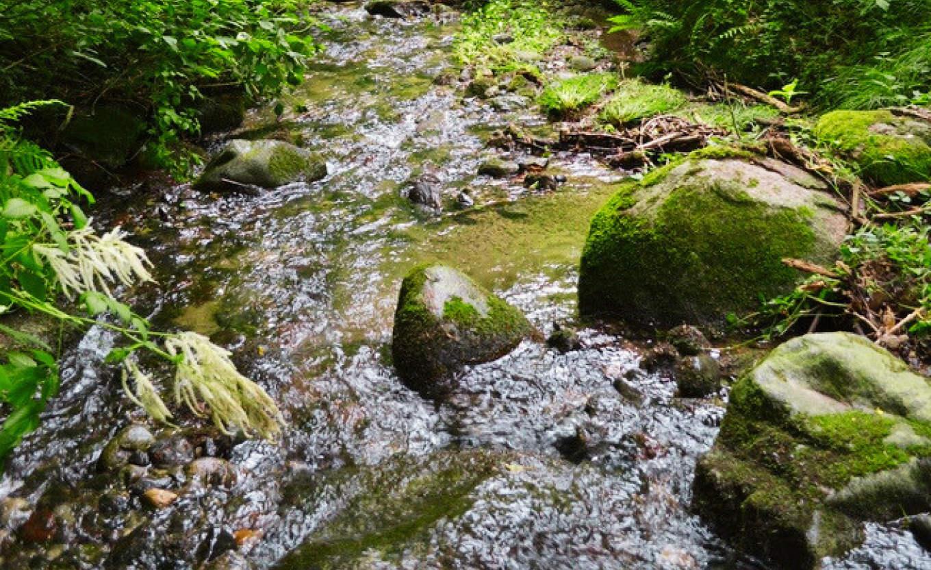 Camminata transfrontaliera tra Italia e Svizzera alla scoperta delle sorgenti del Lura e del Laveggio