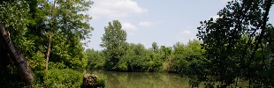 Ritorniamo a passeggiare alle Anse del Lambro