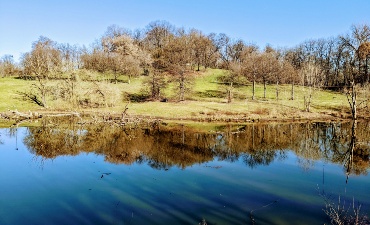 Milano, Parco Lambro: l'area umida di Via Feltre 