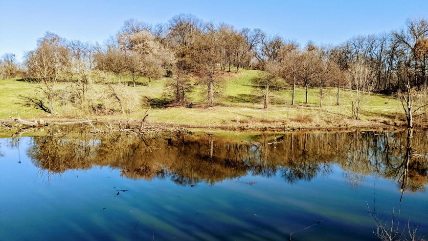 Milano, Parco Lambro: l'area umida di Via Feltre