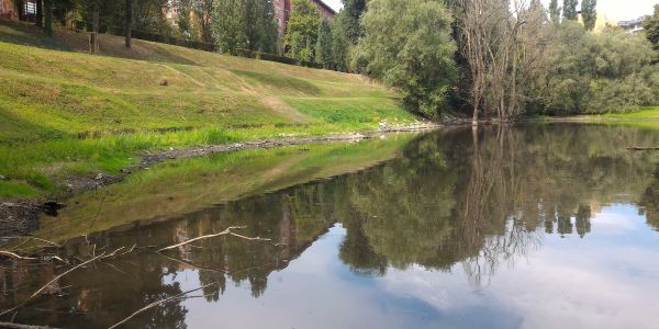 Area umida di Parco Lambro in Via Feltre nel 2020 Area umida di Parco Lambro in Via Feltre nel 2020