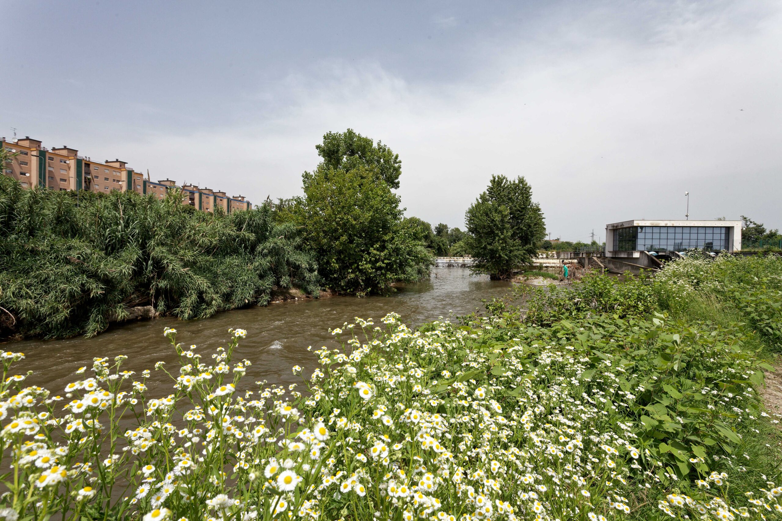 Aperte le candidature alla prima edizione del "Lambrogino 2026: i custodi del fiume"