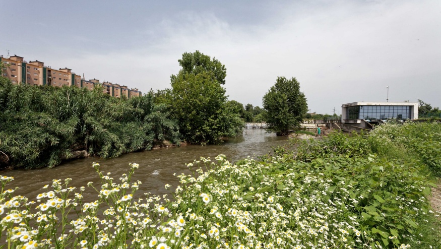 Aperte le candidature alla prima edizione del "Lambrogino 2026: i custodi del fiume"