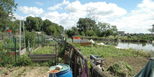 Orti in via Rizzoli Orti in via Rizzoli