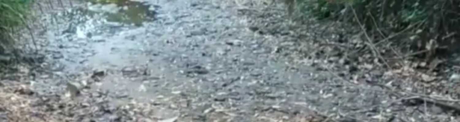 Torrente Morla e Morletta
