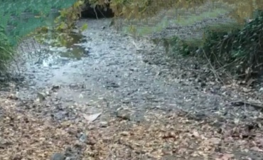 Torrente Morla e Morletta