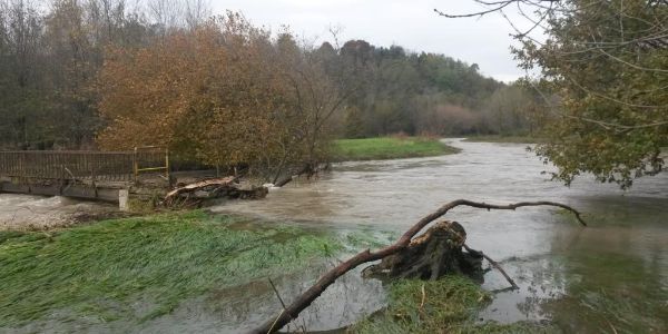riqualificazione spondale a Gorla Maggiore e Fagnano Olona 3 riqualificazione spondale a Gorla Maggiore e Fagnano Olona 3