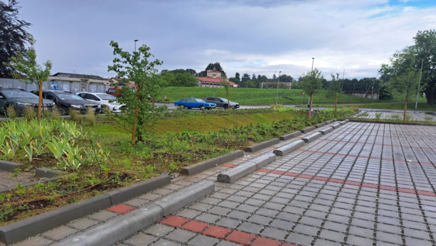 Aperta la Call for Ideas per il Programma delle Azioni del Seveso