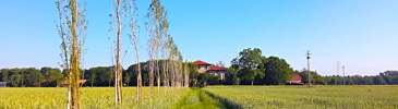 Seveso