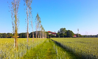 Riunione di Coordinamento per il Contratto di Fiume Seveso: Approvazione del Progetto Strategico di Sottobacino