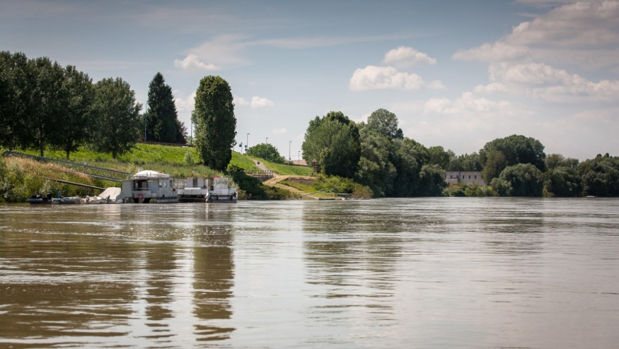 Bando: Young Reporters – Edizione 2026