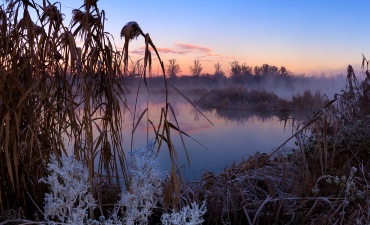 ERSAF Contratti di Fiume ha presentato un contributo per la Water Resilience Strategy