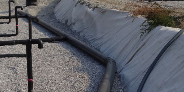 Dettaglio impianti nella vasca di fitodepurazione Dettaglio impianti nella vasca di fitodepurazione