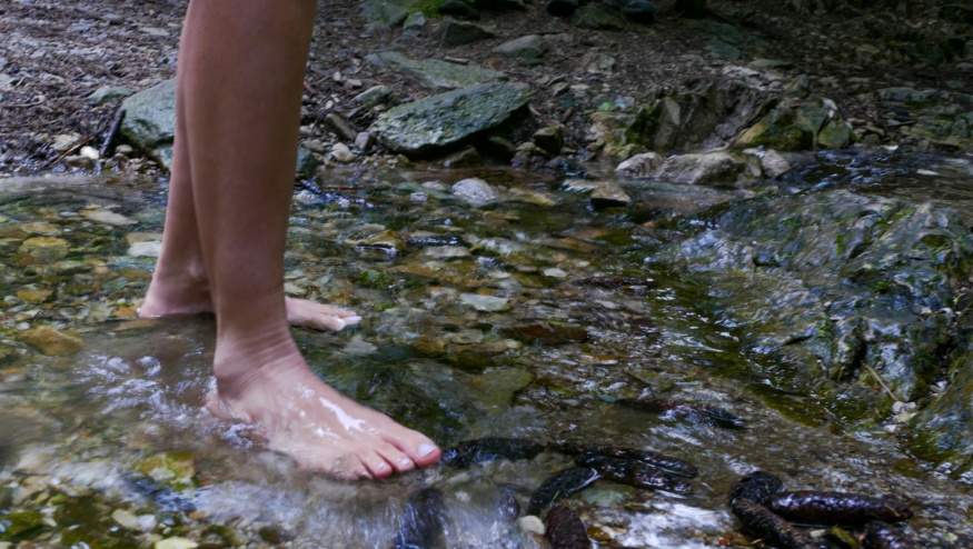 PALIMPSEST Residential Workshop a Milano: un laboratorio di creatività per ripensare il rapporto tra la città e il Lambro