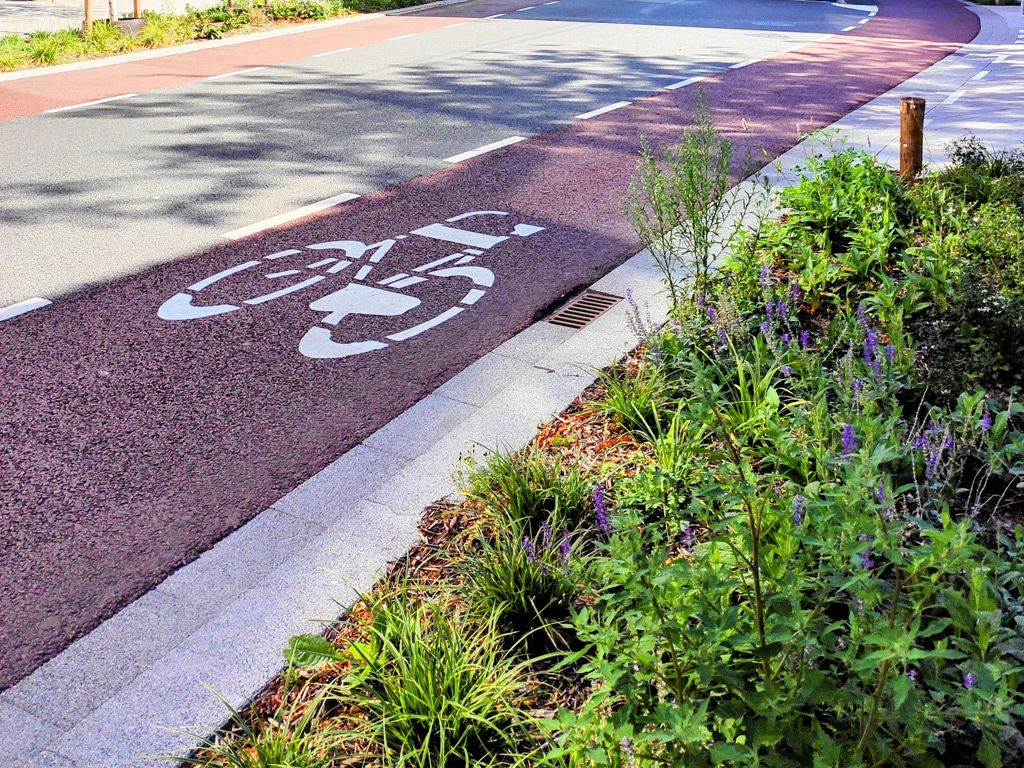 BANDO Strade Verdi 2026: mitigazione, mobilità attiva, transizione ecologica