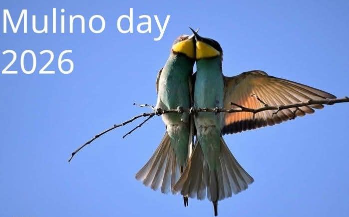 Mulino day – Evento