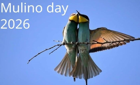 Mulino day – Evento