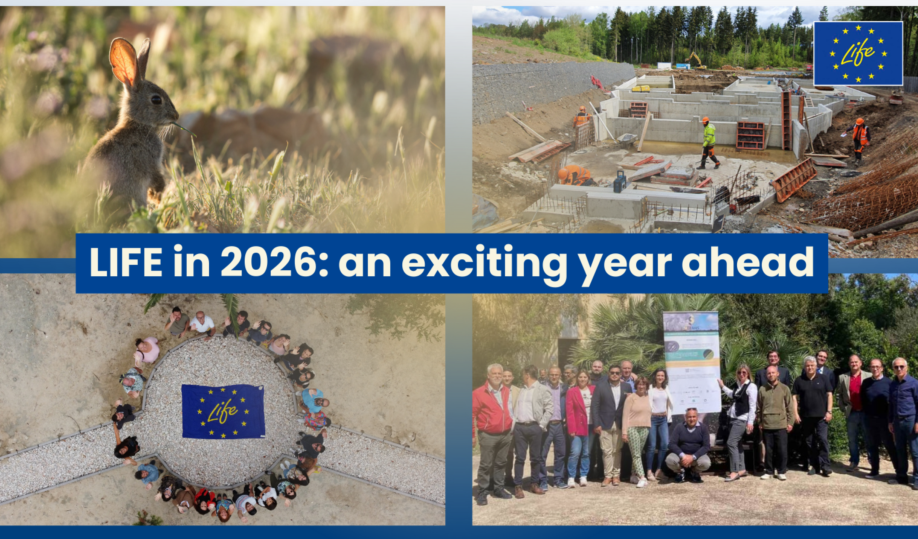 Programma LIFE 2026: nuove opportunità di finanziamento per ambiente, acqua, biodiversità e transizione energetica