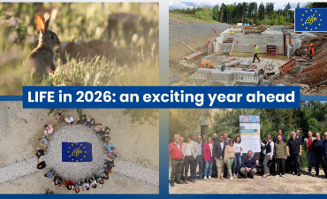Programma LIFE 2026: nuove opportunità di finanziamento per ambiente, acqua, biodiversità e transizione energetica
