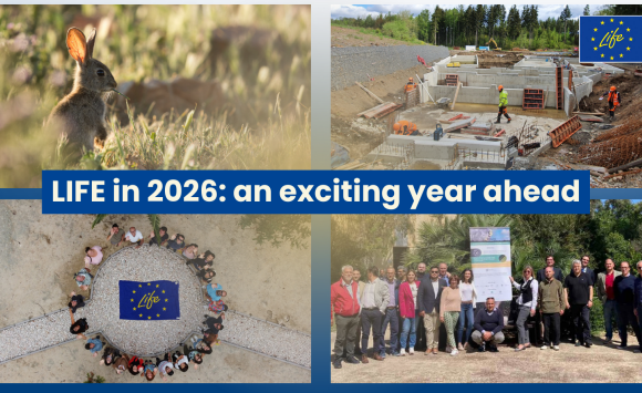 Programma LIFE 2026: nuove opportunità di finanziamento per ambiente, acqua, biodiversità e transizione energetica