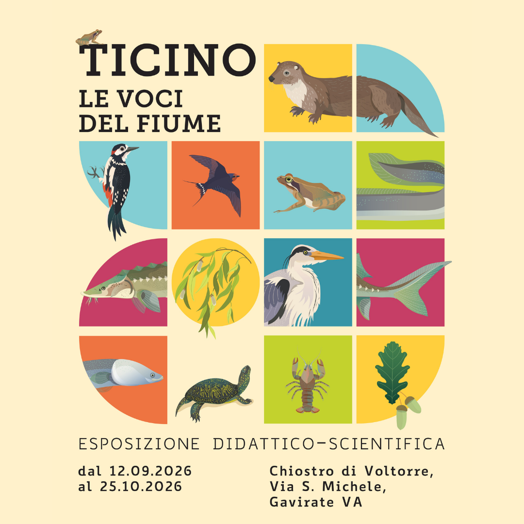 Ticino. Le voci del fiume | Mostra e Festival
