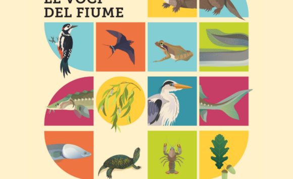 Ticino. Le voci del fiume | Mostra e Festival