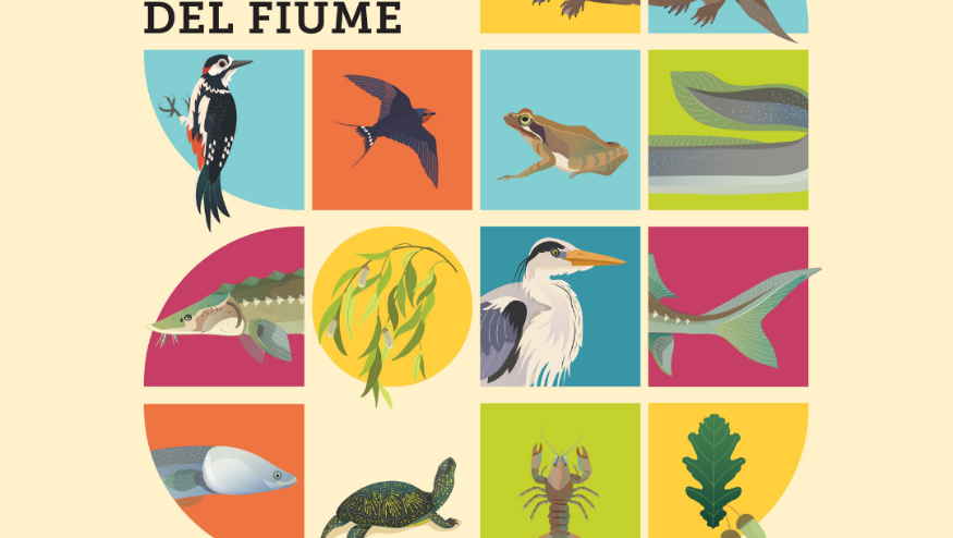 Ticino. Le voci del fiume | Mostra e Festival