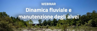 WEBINAR - Dinamica fluviale e manutenzione degli alvei