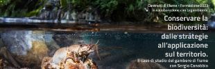 WEBINAR: Conservare la biodiversità: dalle strategie all’applicazione sul territorio. Il caso di studio del gambero di fiume.