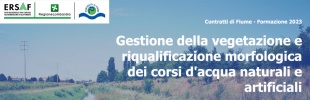 WEBINAR: Gestione della vegetazione e riqualificazione morfologica dei corsi d'acqua naturali e artificiali