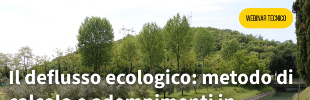WEBINAR TECNICO: Il deflusso ecologico: metodo di calcolo e adempimenti in Regione Lombardia
