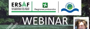 WEBINAR - 2.Esempi di riqualificazione fluviale di Francesco Comiti